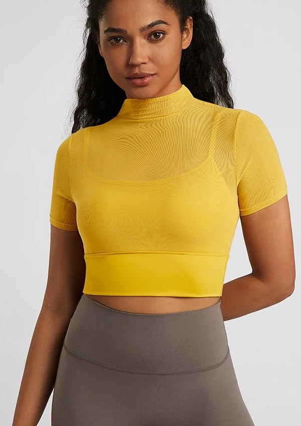 Mesh Patched Hollow Inner Short-Sleeves Top